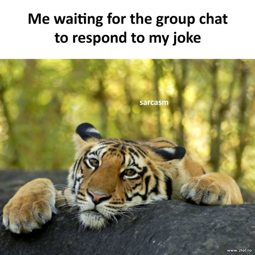 Waiting for the group chat to respond to my joke | poze haioase