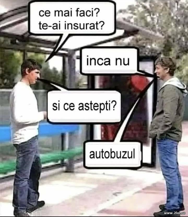 Te-ai insurat? | poze haioase