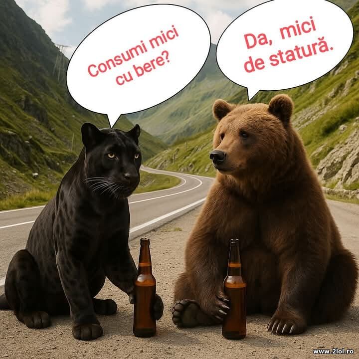 Consumi mici cu bere | poze haioase