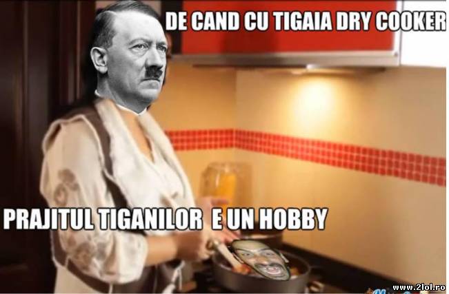 Hitler despre tigaia dry cooker | poze haioase
