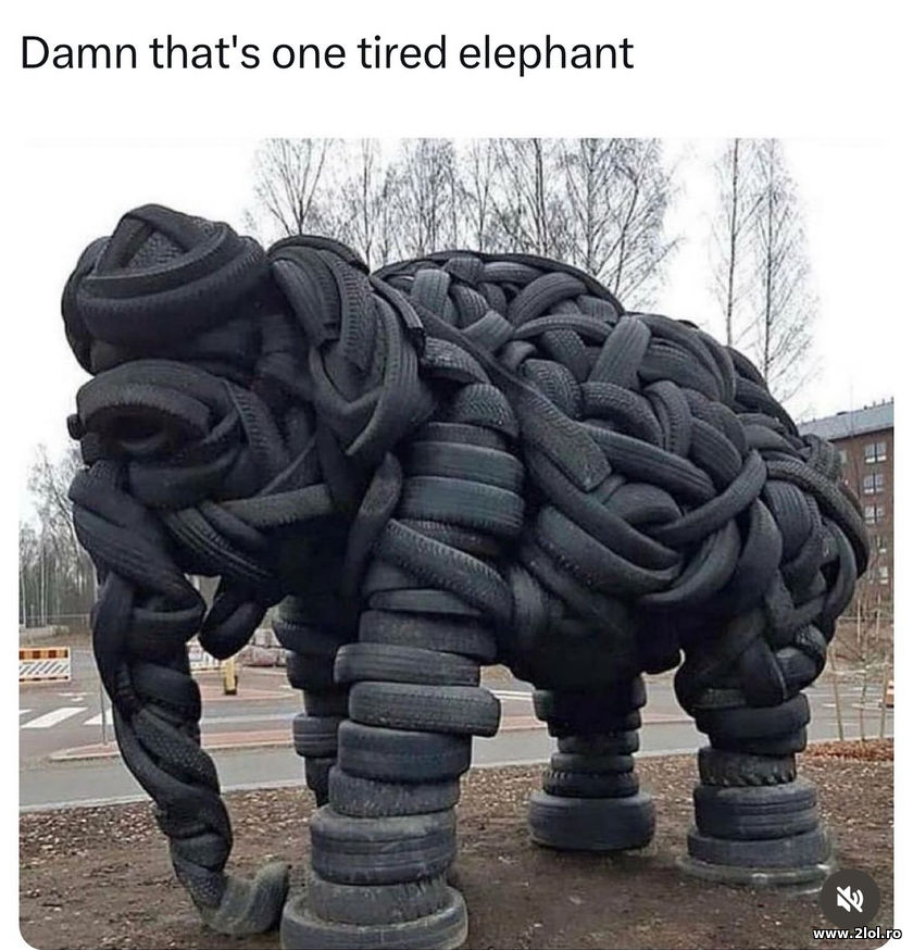 That's one tired elephant | poze haioase