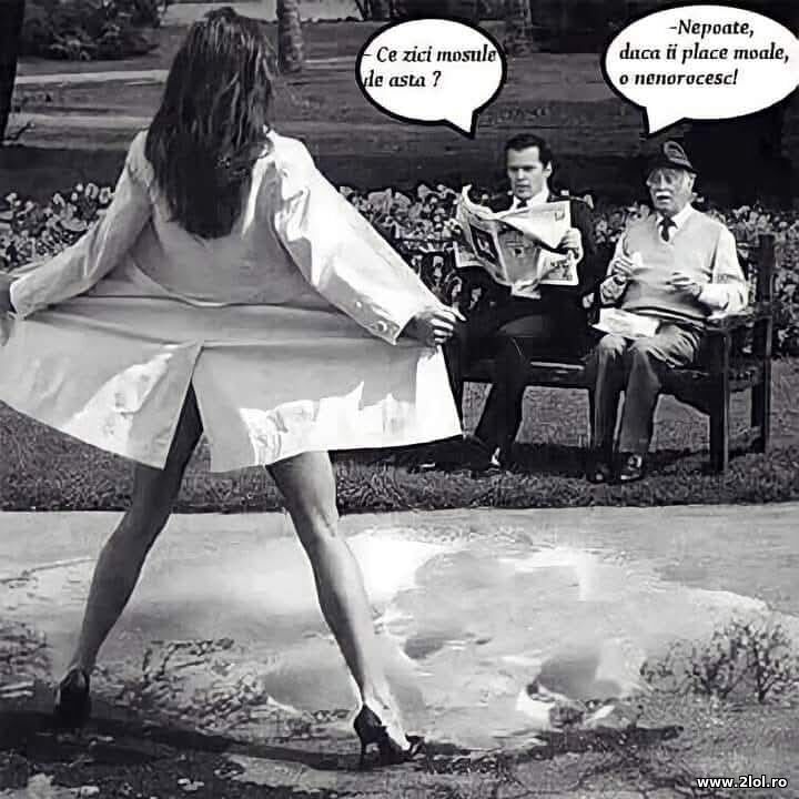 Ce zici de asta? | poze haioase