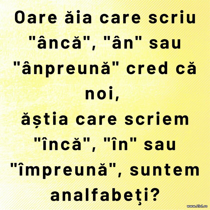 Oare aia | poze haioase