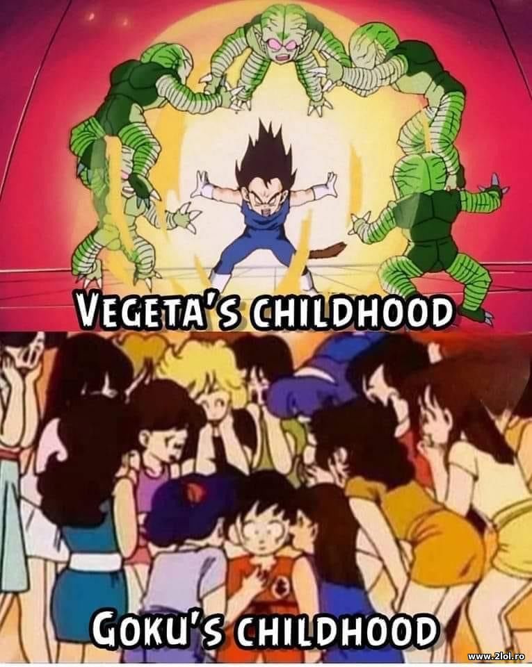 Vegeta's childhood and Goku's - DBZ | poze haioase