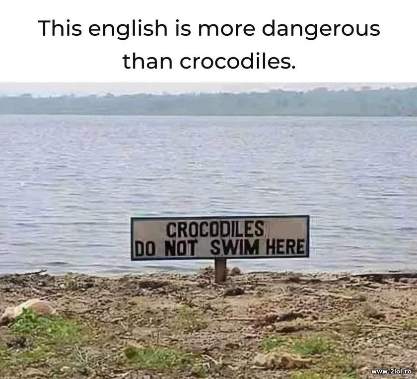 Crocodiles do not swim here | poze haioase