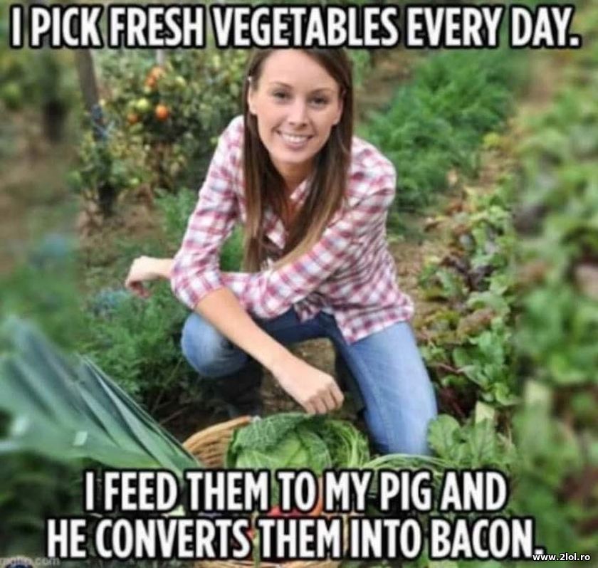I pick fresh vegetables every day | poze haioase