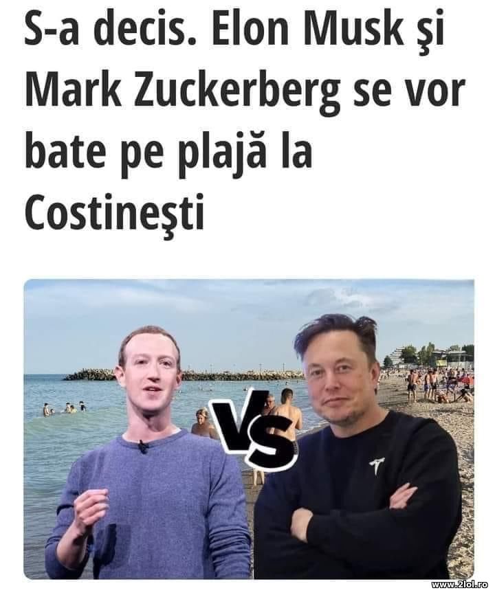 Elon Musk si Zuckerberg bataie pe plaja Costinesti | poze haioase