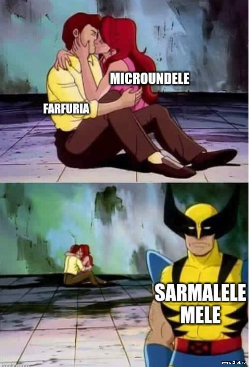 Farfuria | poze haioase
