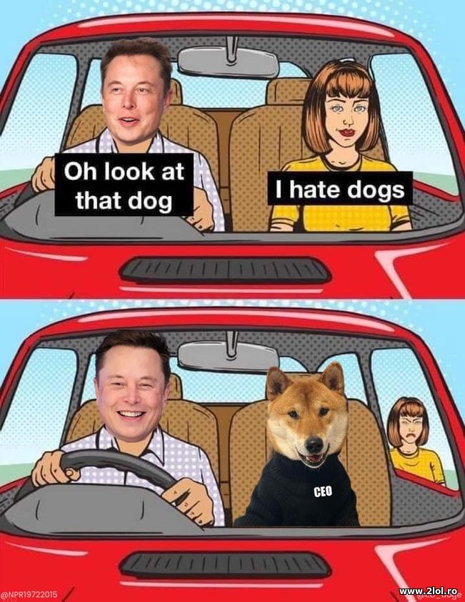 I hate dogs. Reaction of Elon Musk