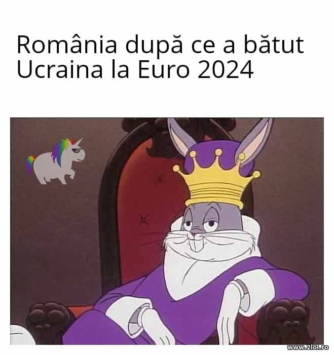 Romania dupa ce a batut Ucraina la Euro 2024 | poze haioase