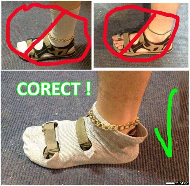 Din categoria cum se poartă sandalele | poze haioase