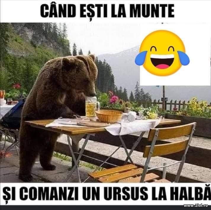 Cand esti la munte si comanzi Ursus la halba | poze haioase