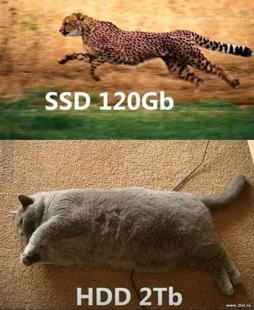 SSD 120GB vs HDD 2TB | poze haioase