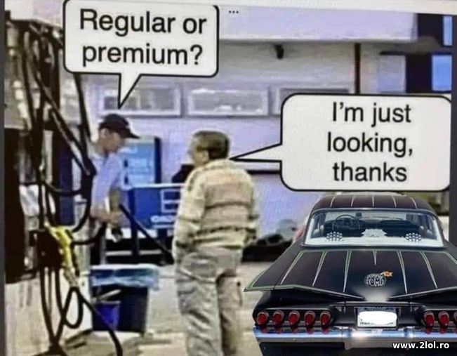 Regular or premium?