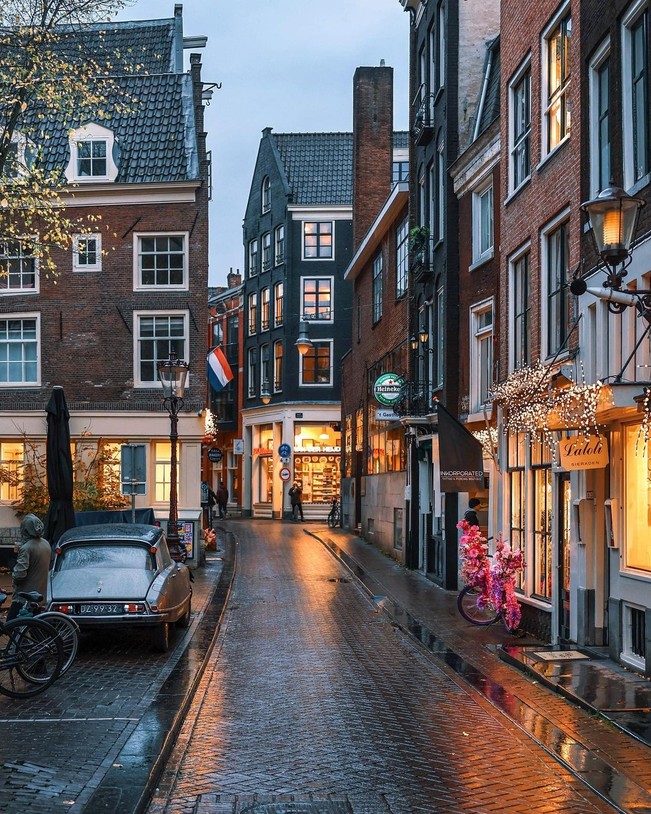 Amsterdam | poze haioase