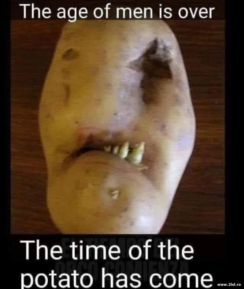 The age of men is over. Age of potato | poze haioase