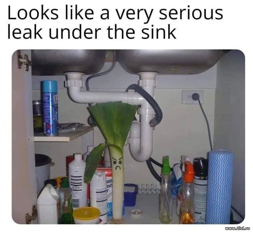 Looks like a very serious leak under the sink | poze haioase