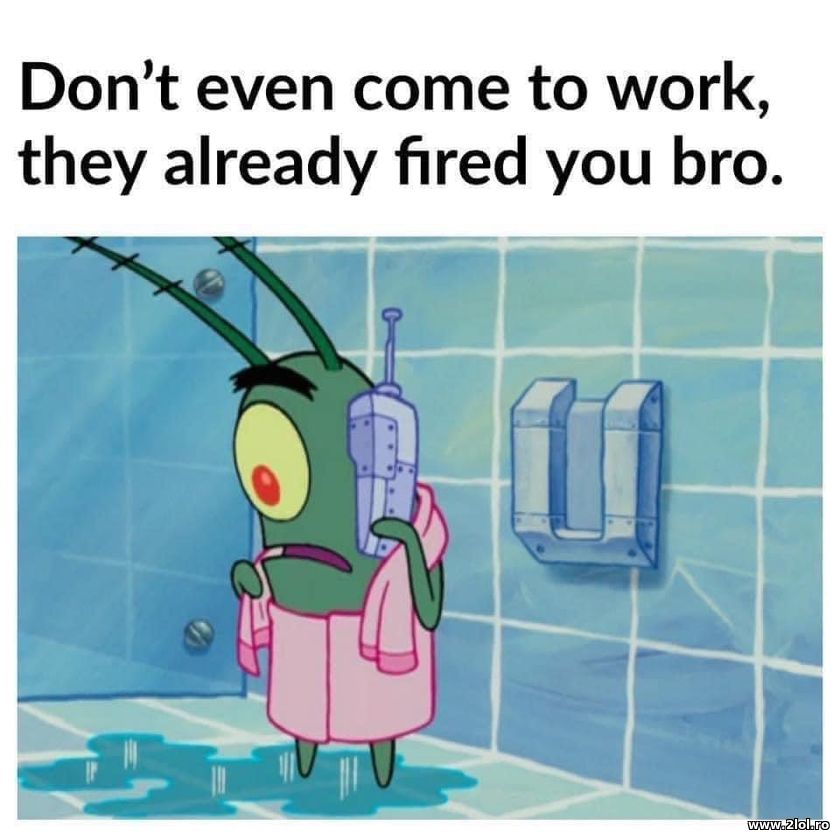 Don't come to work, they already fired you | poze haioase