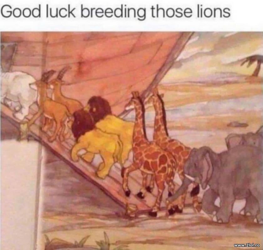 Good luck breeding those lions | poze haioase