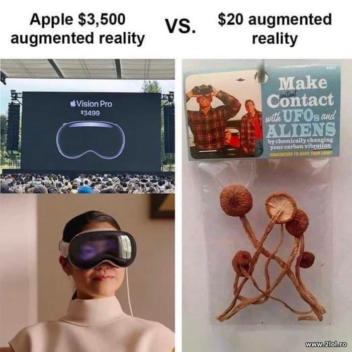 Apple Vision Pro AR vs $20 AR | poze haioase