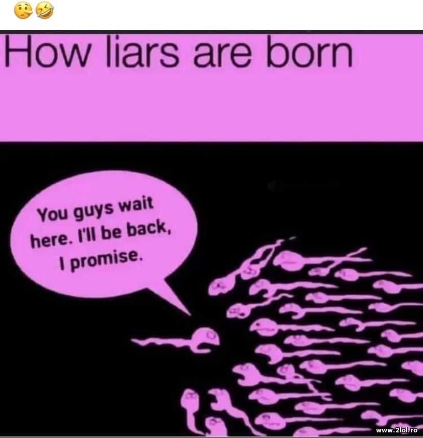 How liars are born | poze haioase