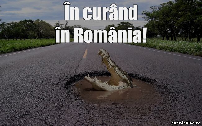 În curând vom avea crocodili în România | poze haioase