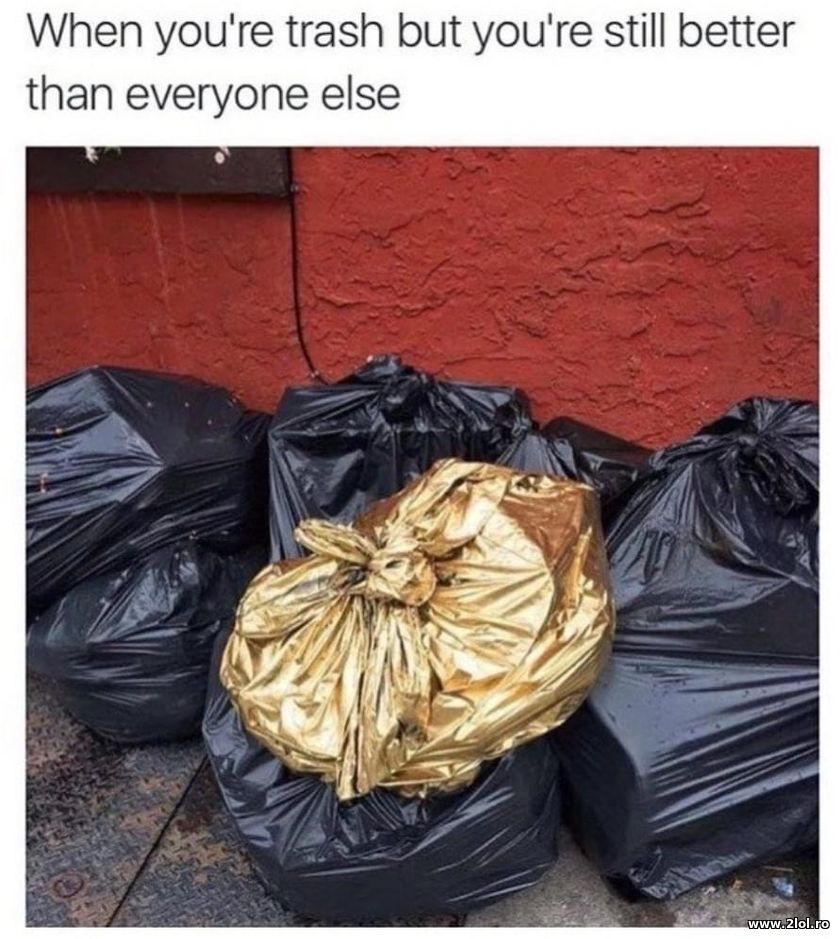 When you're trash but still better than everyone | poze haioase