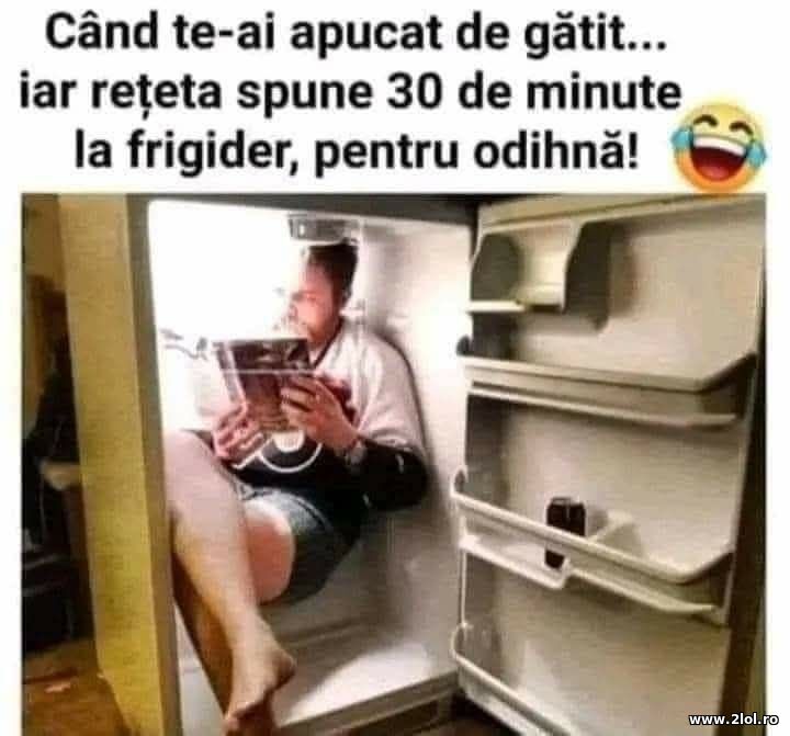 Apucat de gatit | poze haioase