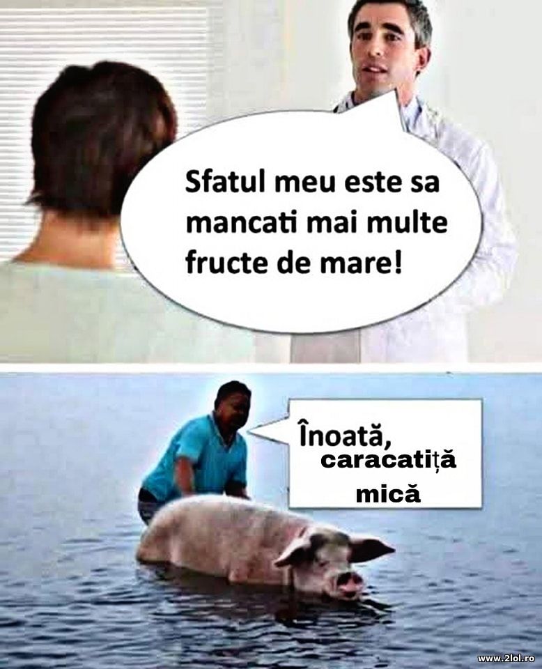 Sa mancati mai multe fructe de mare | poze haioase