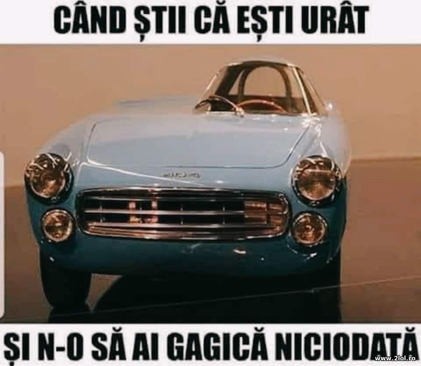 Cand esti urat si n-o sa ai gagica niciodata | poze haioase