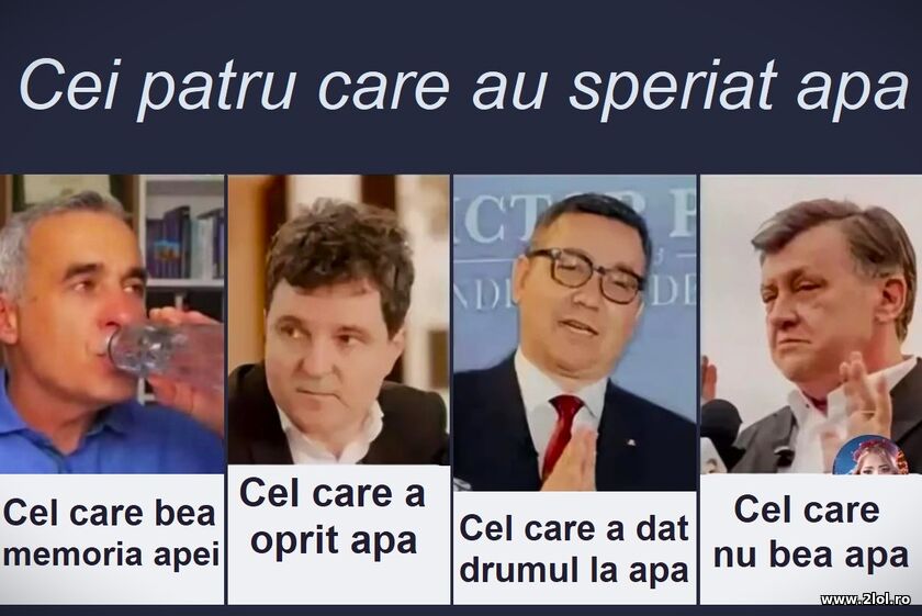 Cei 4 care au speriat apa | poze haioase