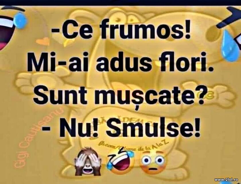 Mi-ai adus flori | poze haioase