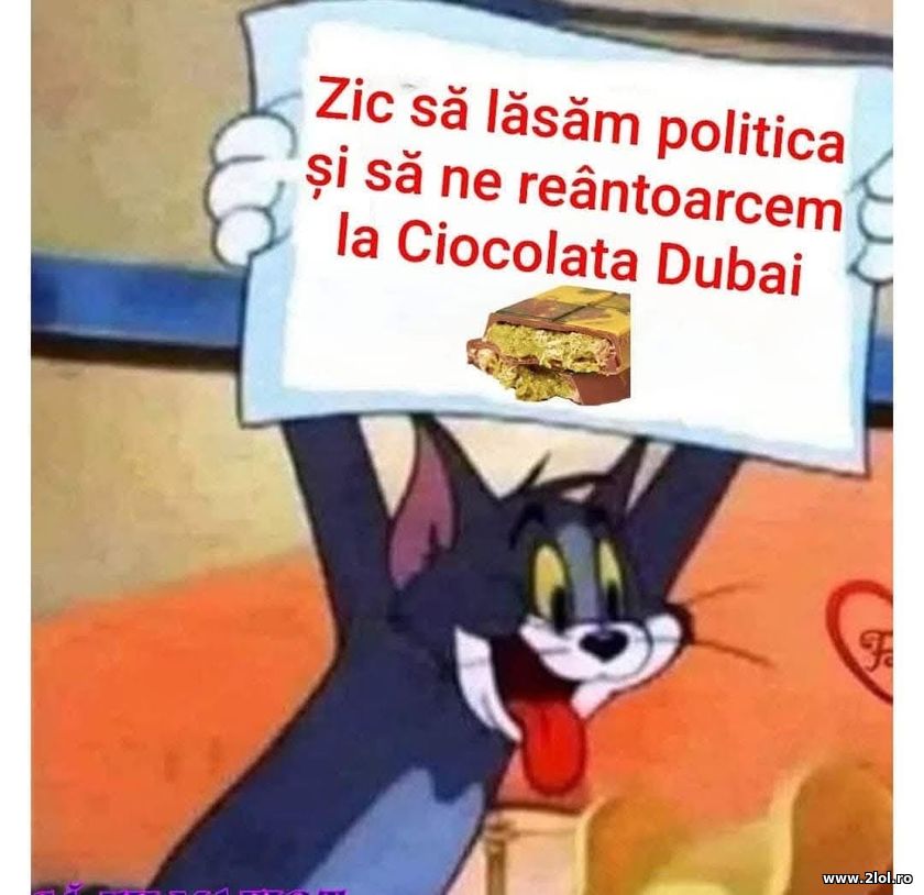 Sa lasam politica | poze haioase