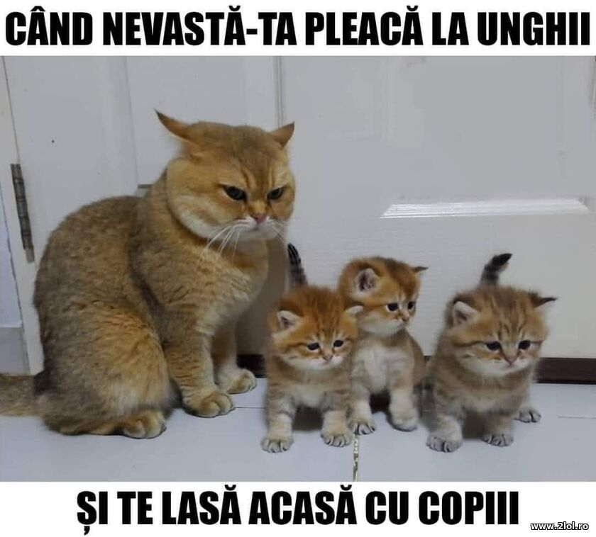 Cand nevasta-ta pleaca la unghii | poze haioase