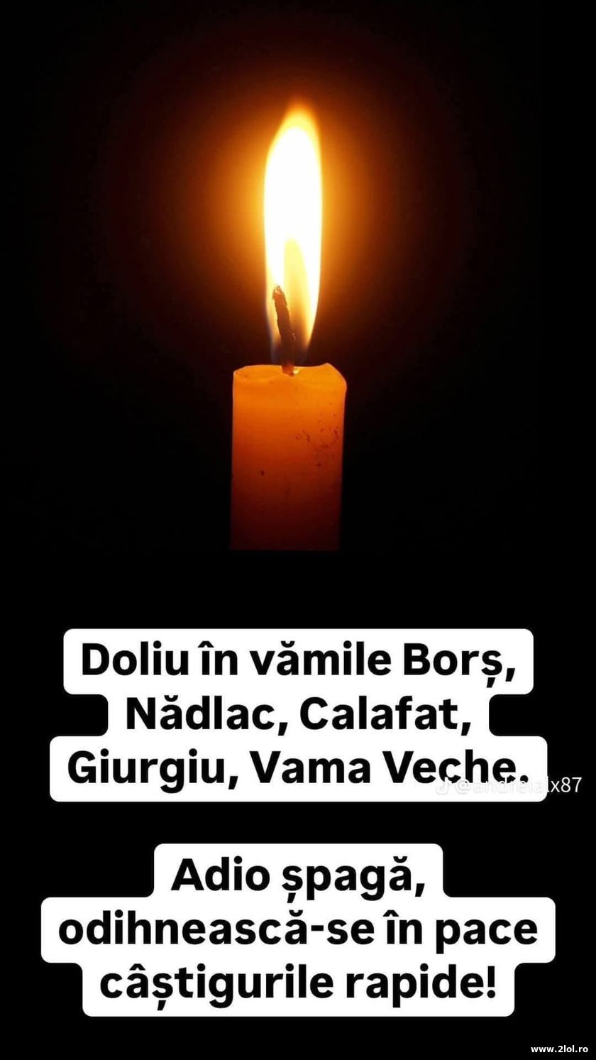 Doliu in vami - Schengen | poze haioase