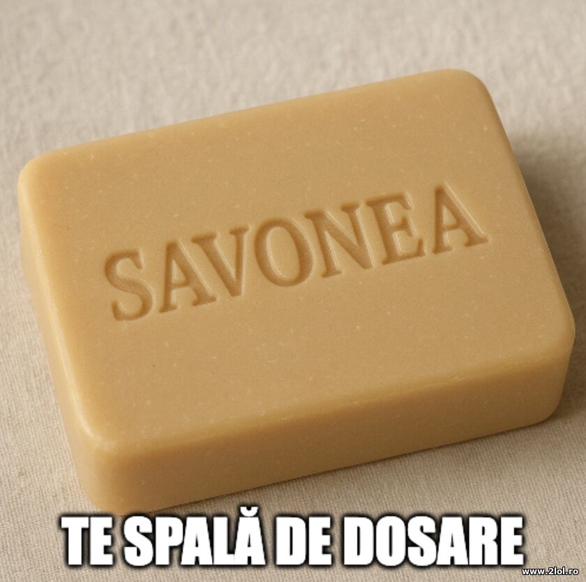 Te spala de dosare - Savonea | poze haioase