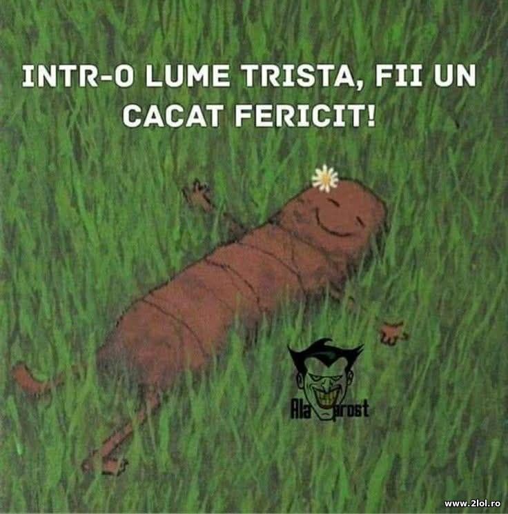 Intr-o lume trista | poze haioase