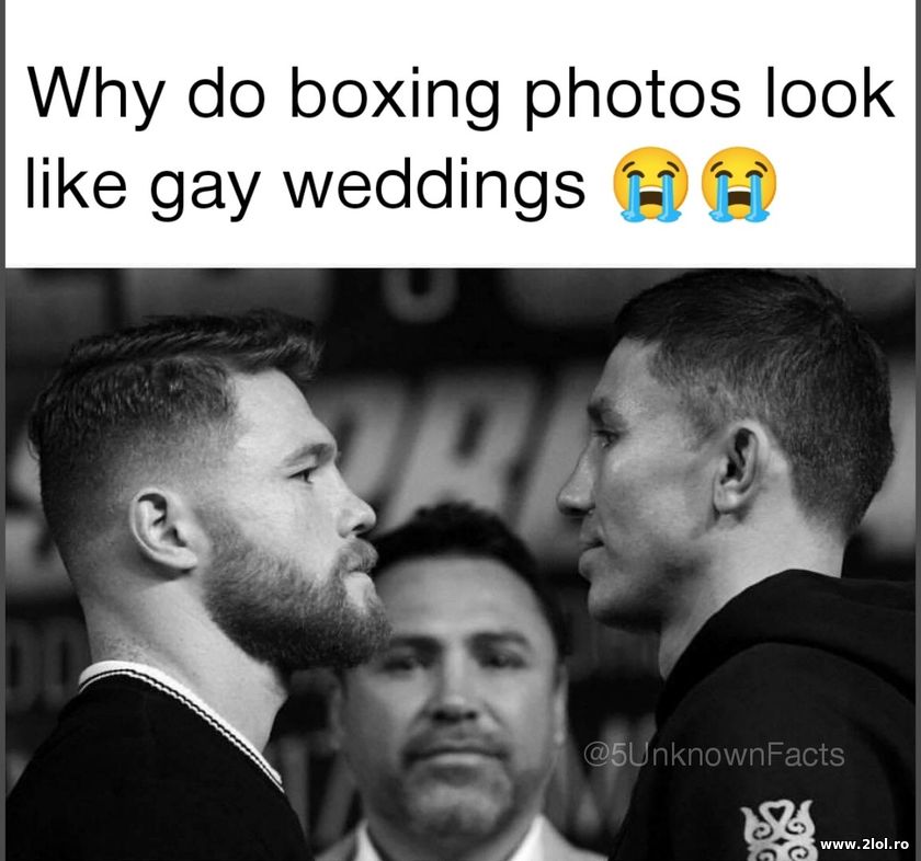 Boxing photos like gay weddings | poze haioase