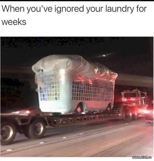When you ignore your laundry for weeks