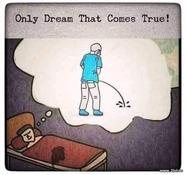 Dream that comes true easily