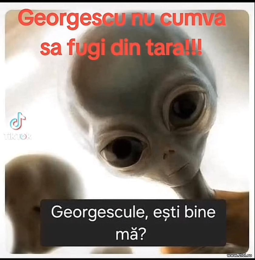 Georgescu sa nu cumva sa fugi din tara | poze haioase