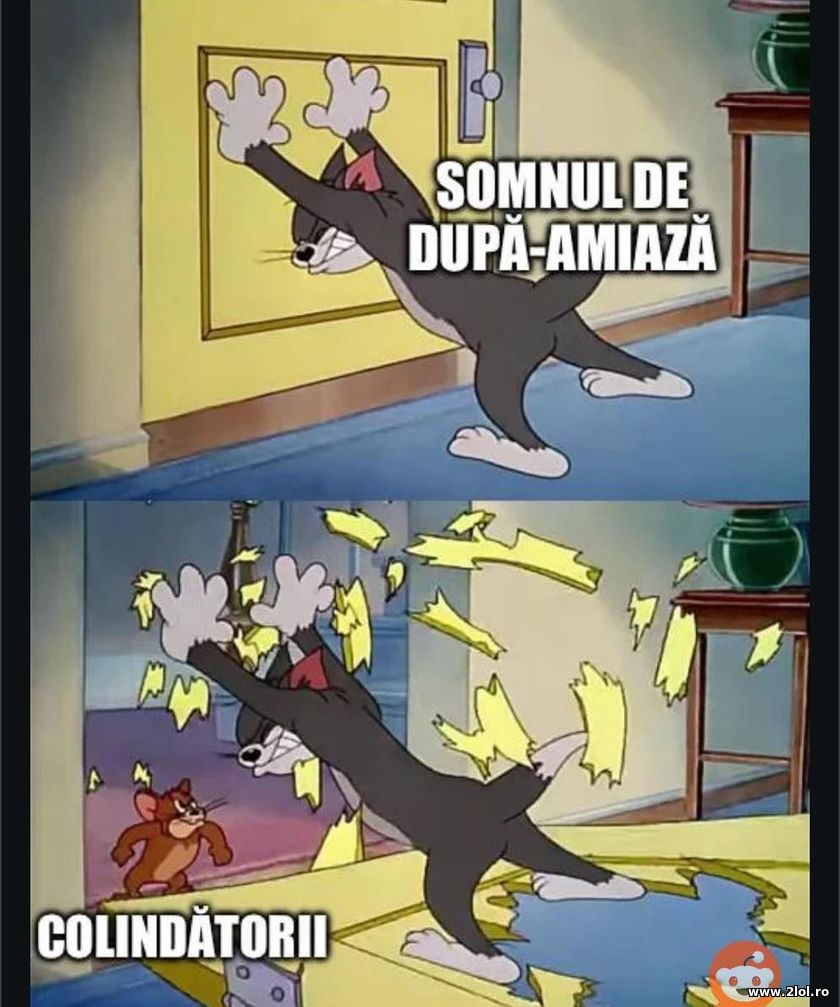 Somnul de dupa-amiaza si colindatorii | poze haioase