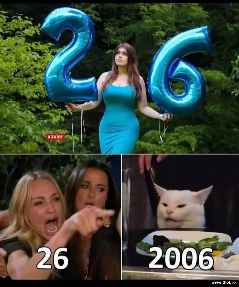 2006 | poze haioase