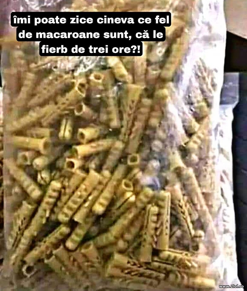 Ce fel de macaroane sun astea? | poze haioase