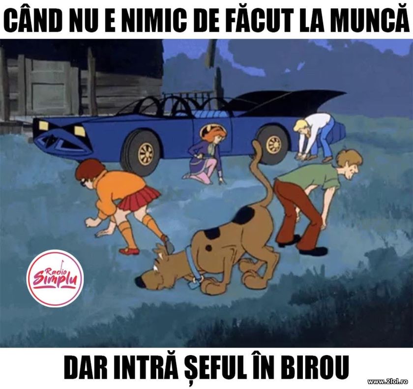 Cand nu e nimic de facut la munca | poze haioase