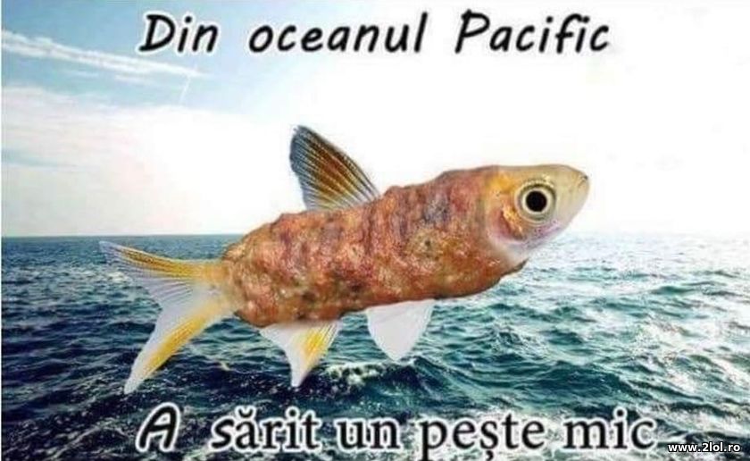 Din oceanul Pacific a sarit un peste mic | poze haioase