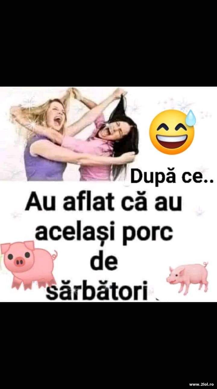 Acelasi porc de sarbatori | poze haioase