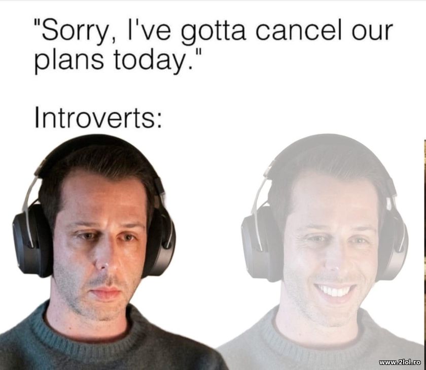 Sorry I've gotta cancel our plans today Introverts | poze haioase
