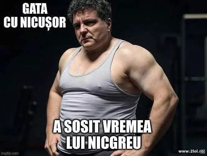 NicGreu | poze haioase