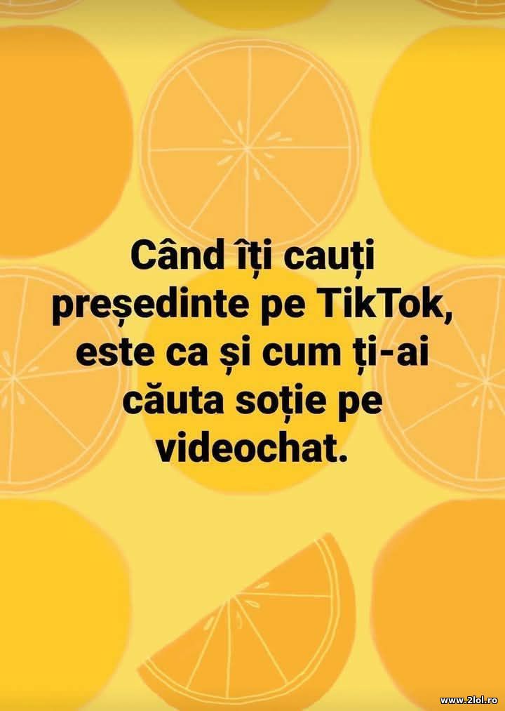 Cand iti cauti presedinte pe TikTok | poze haioase